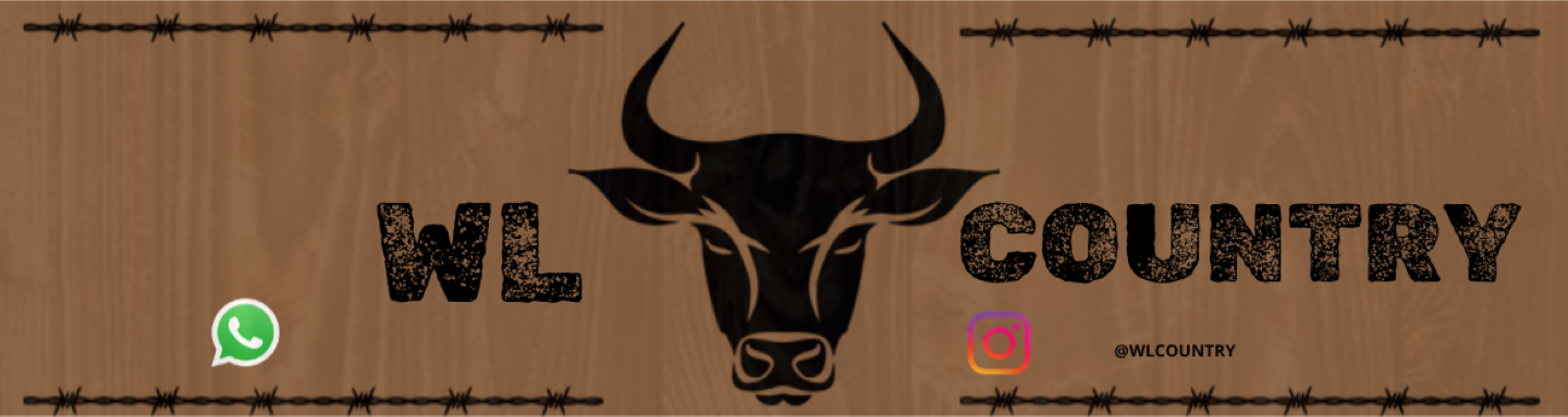 Banner WL Country